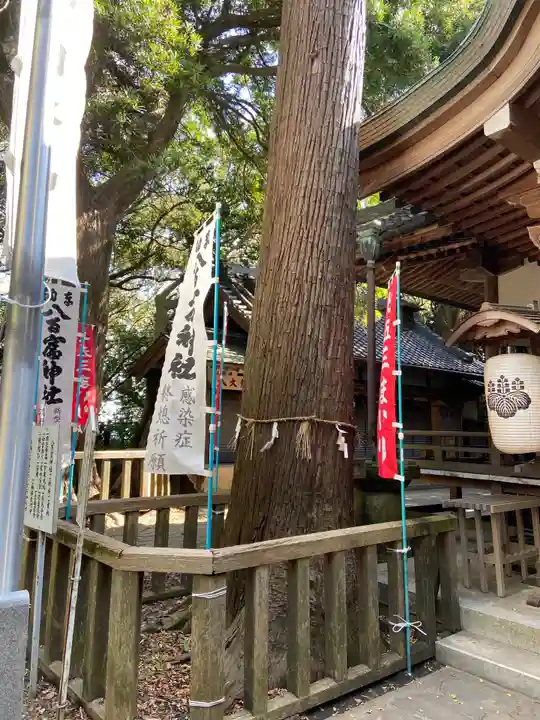 八百富神社の自然