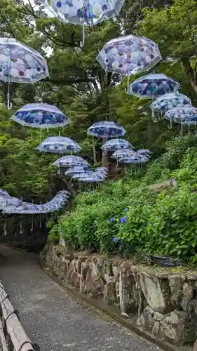 柳谷観音　楊谷寺(京都府)