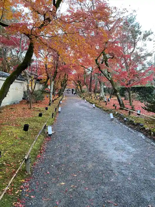 宝厳院(京都府)