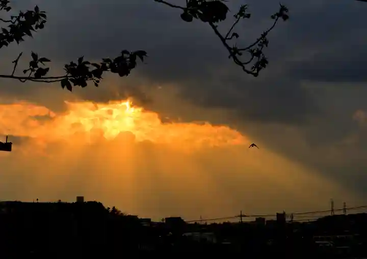 神鳥前川神社(神奈川県)