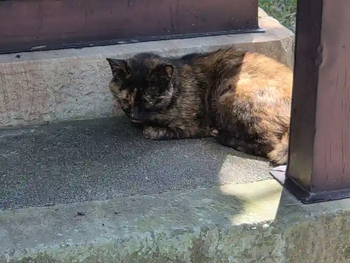 水天宮(静岡県)