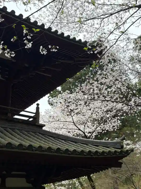 龍潭寺(静岡県)