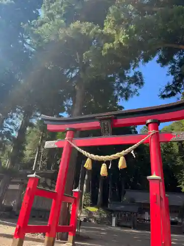 戸隠神社の{uncategorized: "未分類", other: "その他", undefined: "問題あり", building: "その他建物", grave: "お墓", sacred_gate: "鳥居", guardian: "狛犬", statue: "像", buddha: "仏像", history: "歴史", nature: "自然", garden: "庭園", animal: "動物", pagoda: "塔", temizu: "手水舎", mountain_gate: "山門・神門", sanctuary: "本殿・本堂", subordinate: "末社・摂社", art: "芸術", scenery: "景色", jizo: "地蔵", ema: "絵馬", goshuin: "御朱印", omikuji: "おみくじ", items: "授与品その他", amulet: "お守り", goshuincho: "御朱印帳", eats: "食事", festival: "お祭り", votive_dance: "神楽", shichigosan: "七五三参", wedding: "結婚式", experience: "体験その他", initially: "初詣", around: "周辺", anti_infection: "感染症対策"}