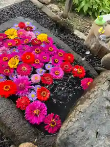 大鏑神社(福島県) 2023年07月24日(月)〜(2023年07月23日(日) 06時10分09秒投稿)