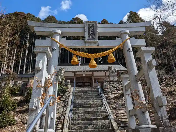 佐羅早松神社(岐阜県)