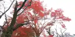 建勲神社の自然