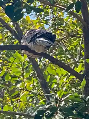總神社天満宮（上賀茂神社境外社）(京都府)