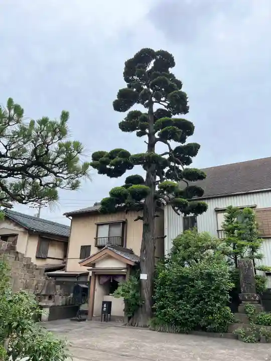 玉林寺(愛知県)