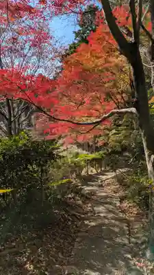 十輪寺(京都府)