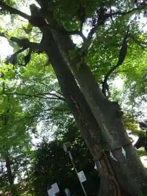 比々多神社の自然