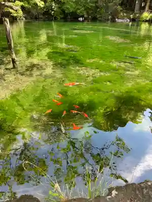 涌釜神社(栃木県)