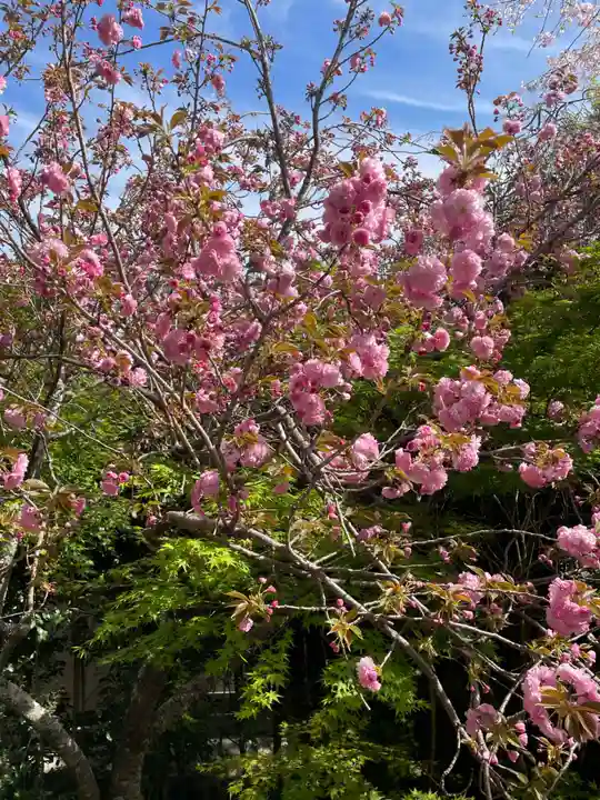 南殿順興寺(京都府)