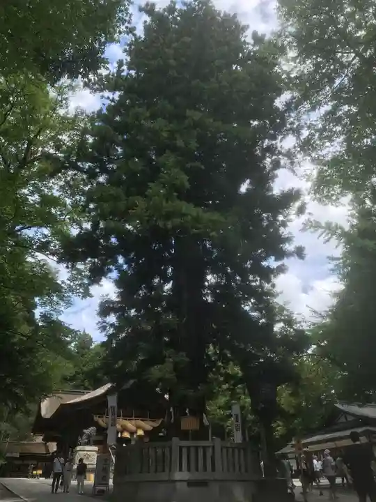 諏訪大社下社秋宮(長野県)