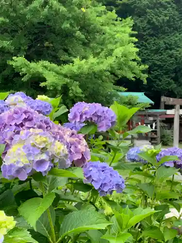 清瀧神社の自然