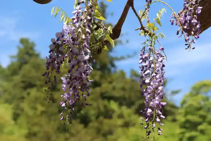 国宝 大法寺の自然