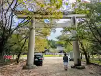 奈良縣護國神社の鳥居