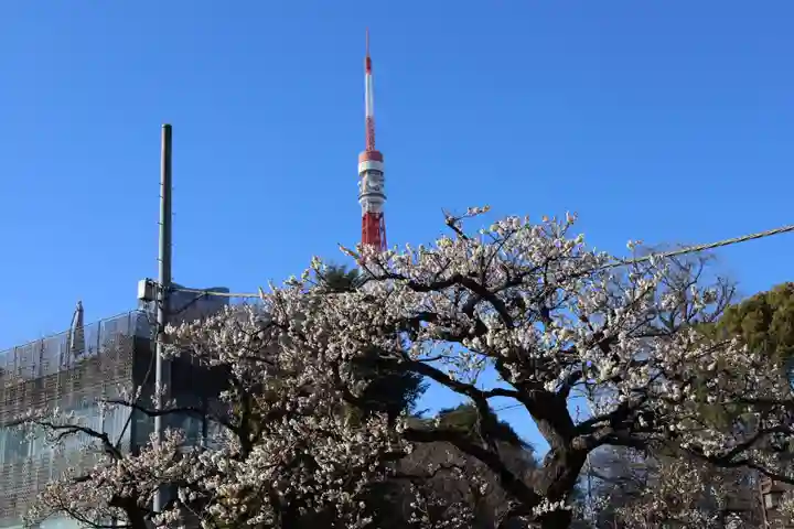 増上寺塔頭 三縁山 宝珠院(東京都)