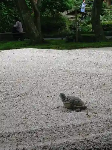明月院(神奈川県)