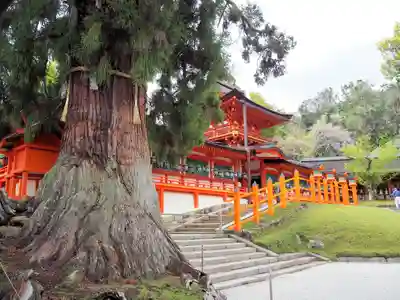 春日大社のその他建物