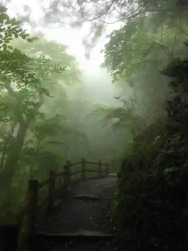 玉置神社の自然