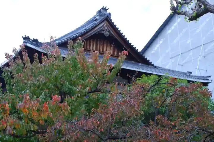 大念佛寺(大阪府)