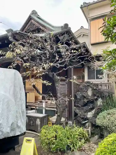 躰仙院(東京都)