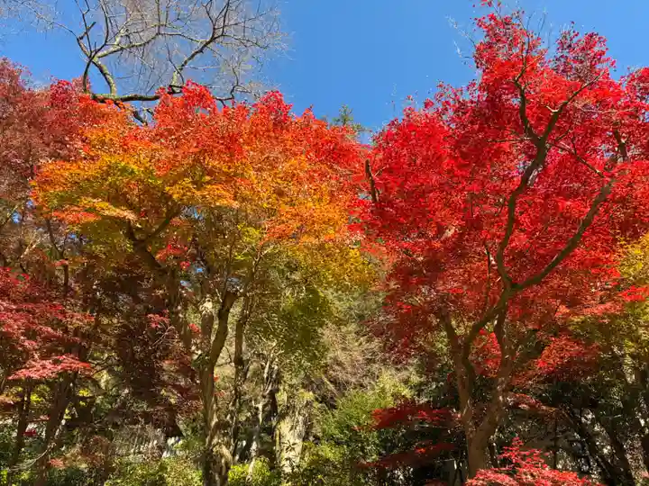長谷寺(奈良県)