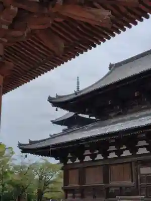 東寺（教王護国寺）(京都府)