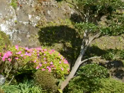 仏行寺（佛行寺）の庭園