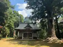 松山神社(千葉県)