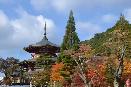高野山金剛峯寺(和歌山県)