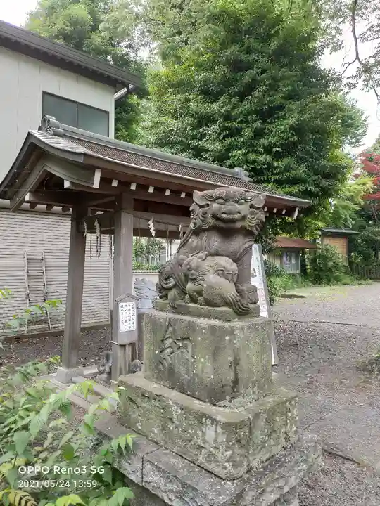 青渭神社の狛犬