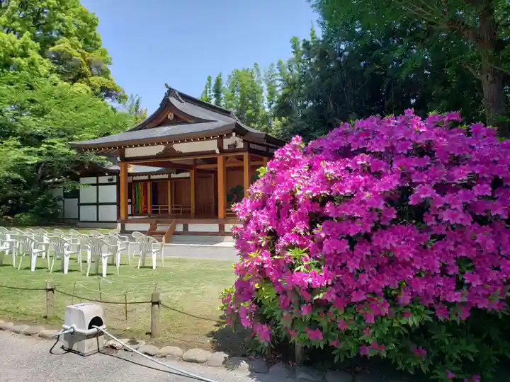 阿佐ヶ谷神明宮(東京都)