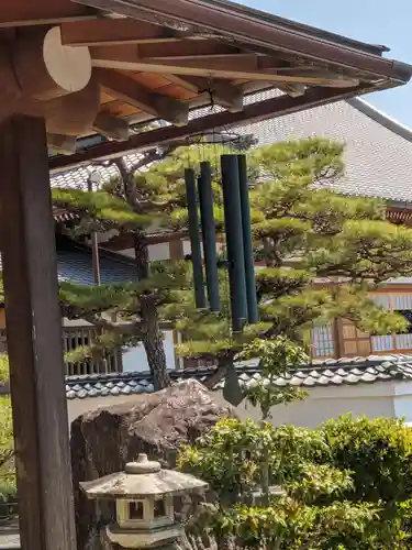 愚渓寺のその他建物