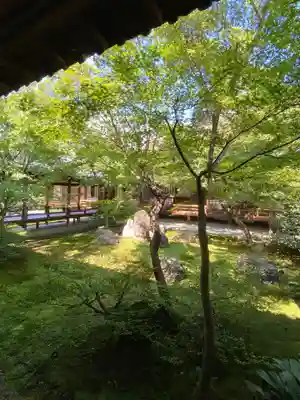 建仁寺（建仁禅寺）(京都府)
