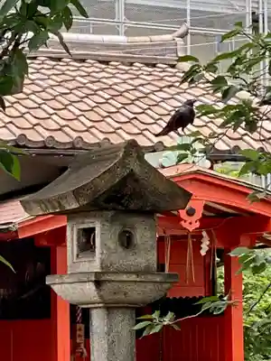 六孫王神社のその他建物