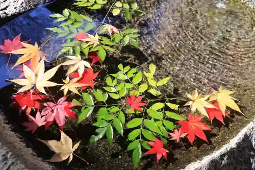 鹿島大神宮の手水