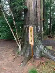 赤城神社(茨城県)