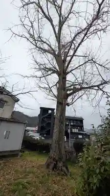 伊達神社(余部鎮座)(京都府)