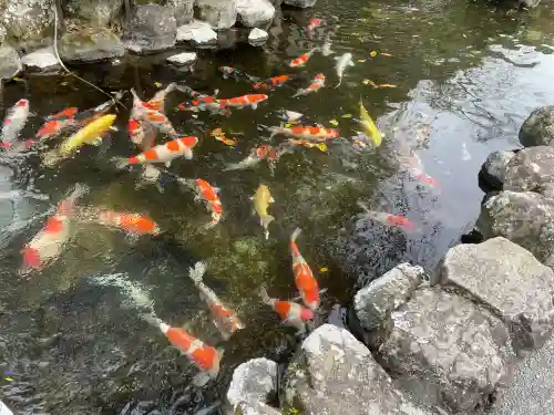 久遠寺(山梨県)