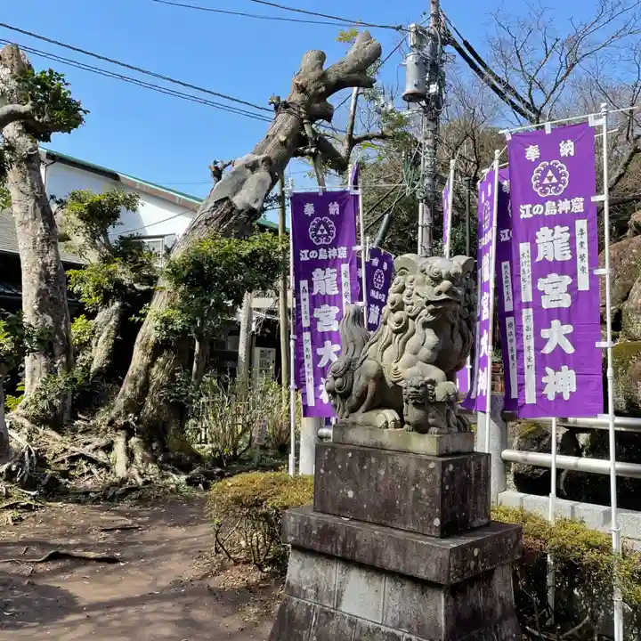 江島神社の狛犬