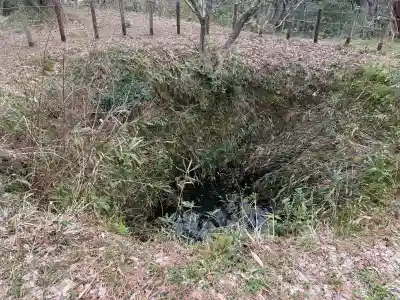 春日山神社の{uncategorized: "未分類", other: "その他", undefined: "問題あり", building: "その他建物", grave: "お墓", sacred_gate: "鳥居", guardian: "狛犬", statue: "像", buddha: "仏像", history: "歴史", nature: "自然", garden: "庭園", animal: "動物", pagoda: "塔", temizu: "手水舎", mountain_gate: "山門・神門", sanctuary: "本殿・本堂", subordinate: "末社・摂社", art: "芸術", scenery: "景色", jizo: "地蔵", ema: "絵馬", goshuin: "御朱印", omikuji: "おみくじ", items: "授与品その他", amulet: "お守り", goshuincho: "御朱印帳", eats: "食事", festival: "お祭り", votive_dance: "神楽", shichigosan: "七五三参", wedding: "結婚式", experience: "体験その他", initially: "初詣", around: "周辺", anti_infection: "感染症対策"}
