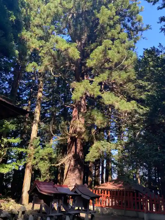 七崎神社(青森県)