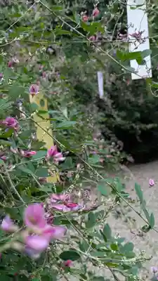 梨木神社(京都府)