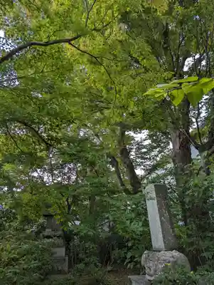 元慶寺(京都府)