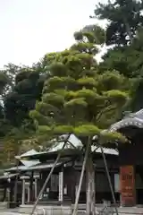 大坊本行寺の本殿