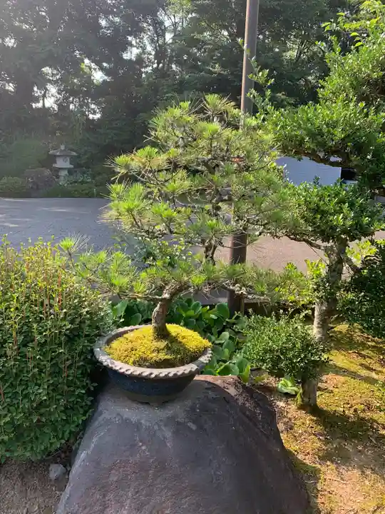 蓮福寺(千葉県)