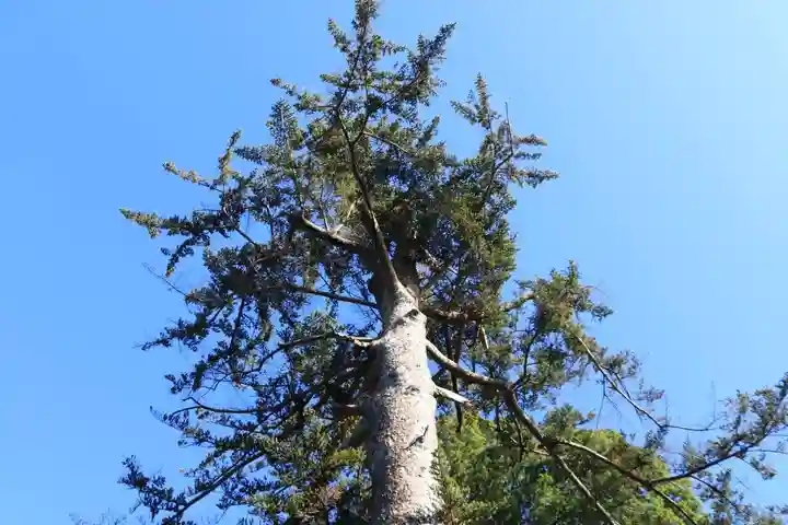 滑川神社 - 仕事と子どもの守り神の自然
