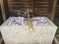 鎮守氷川神社の手水舎