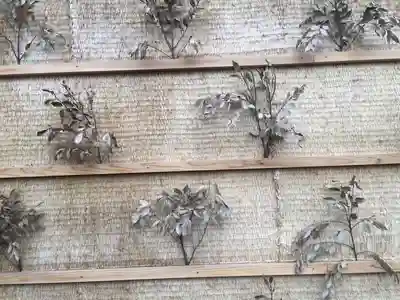 大嘗宮(東京都)